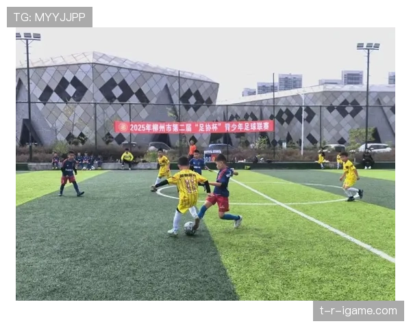 新星闪耀绿茵场，青年才俊助球队强势重返巅峰