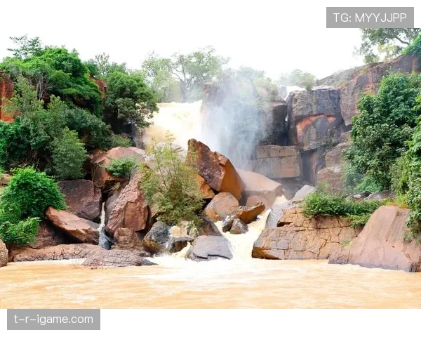 布基纳法索骏马赛事：传统与现代交融引关注