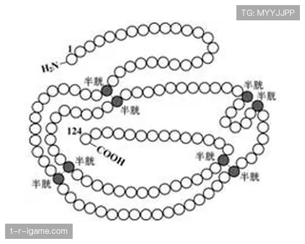 萨卡：半空间持球推进与制造威胁的核心价值分析